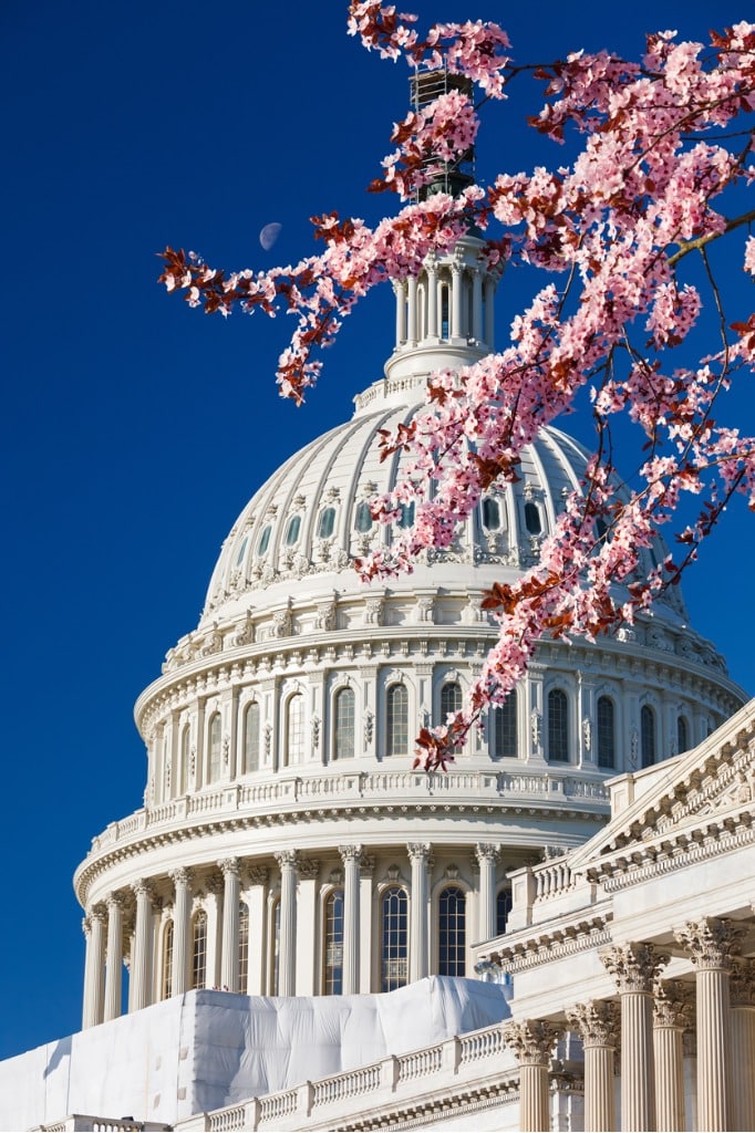 capitol at spring sunny day picture id655902186